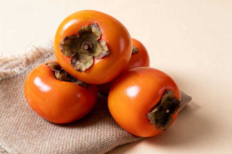 柿子静物图图片