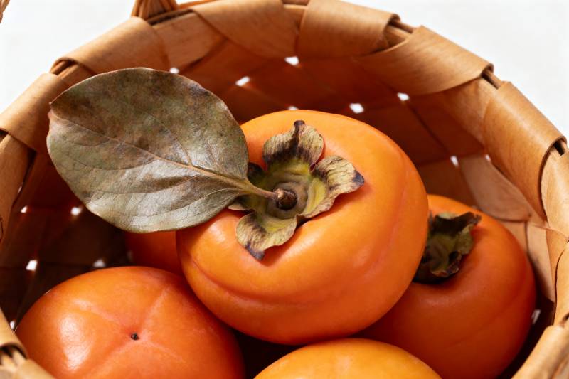 篮中柿子鲜橙色图片