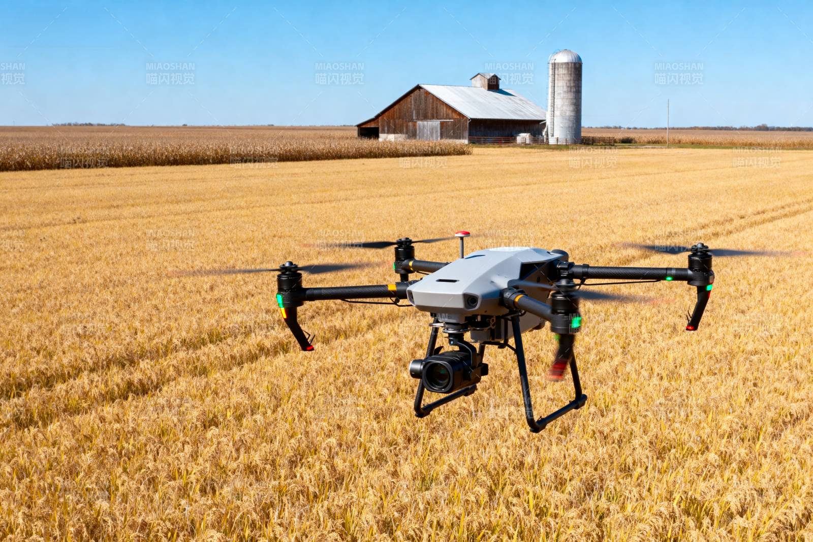 无人机飞越麦田图片
