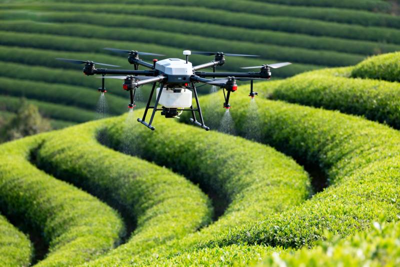 无人机茶园喷洒图片