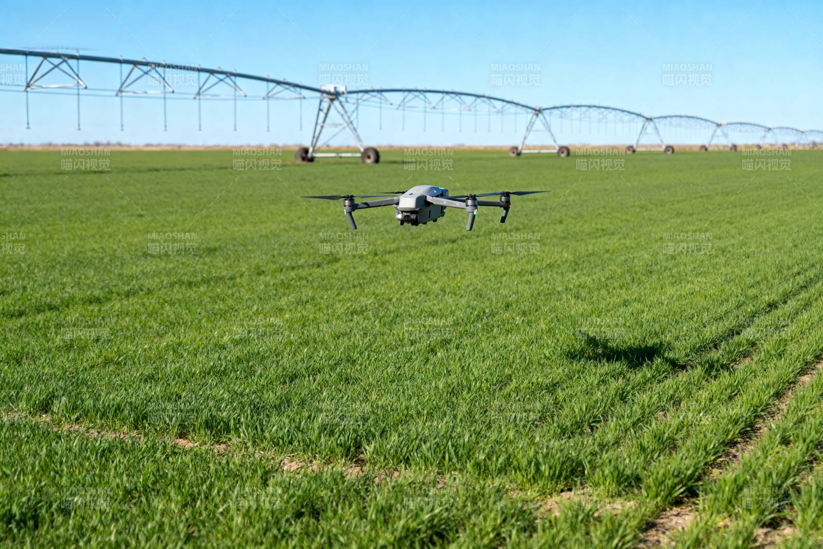 无人机巡田图片