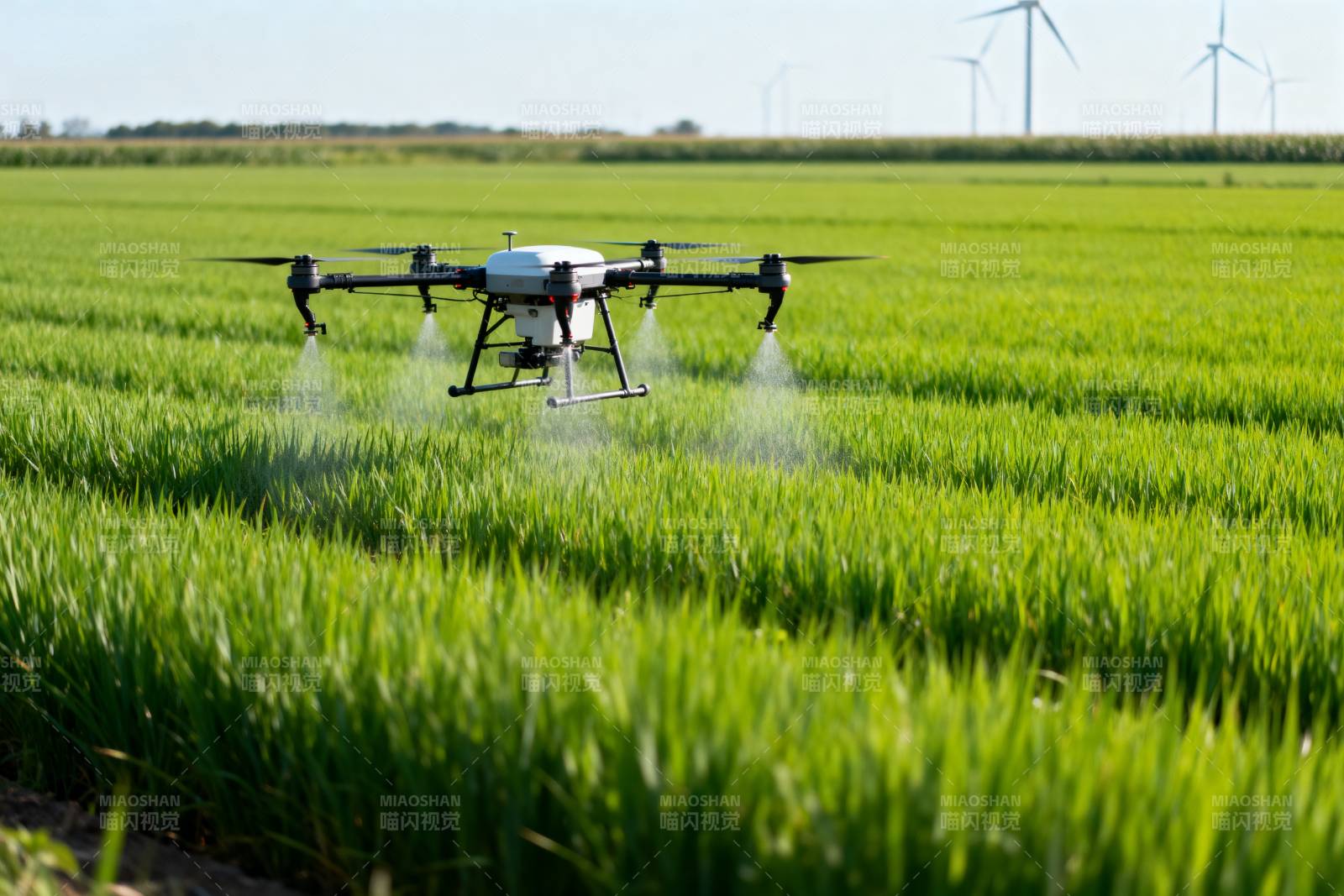 无人机喷洒农田图片