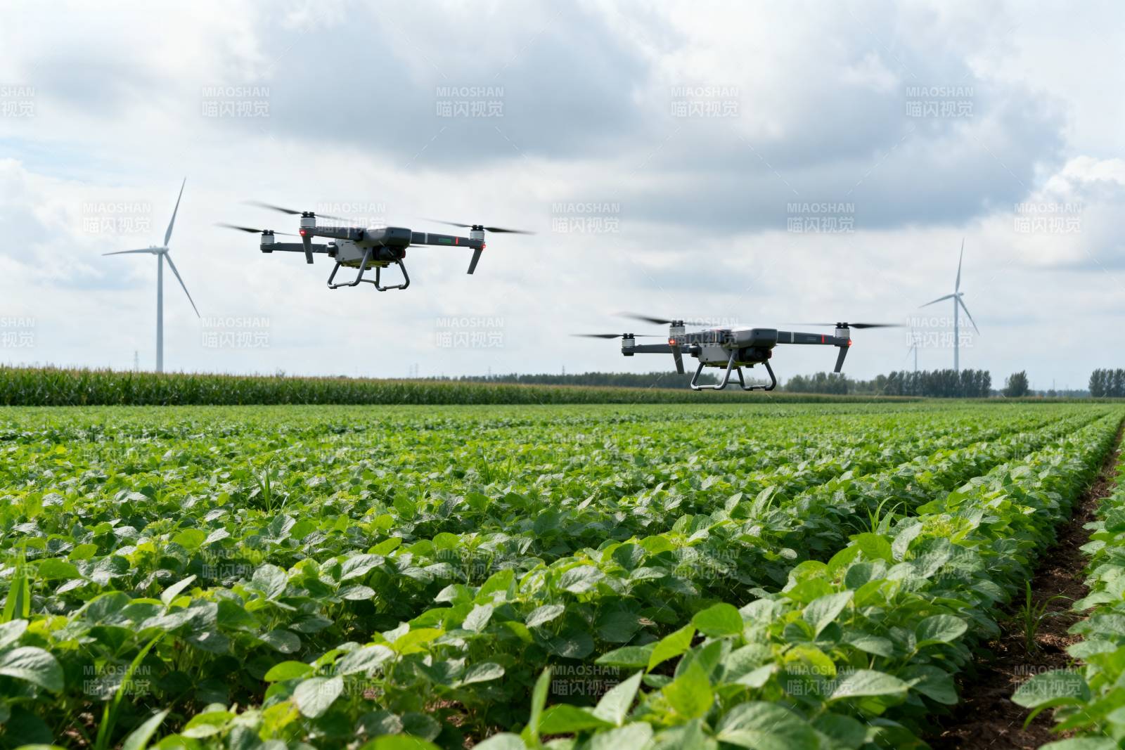 无人机耕作农田图片