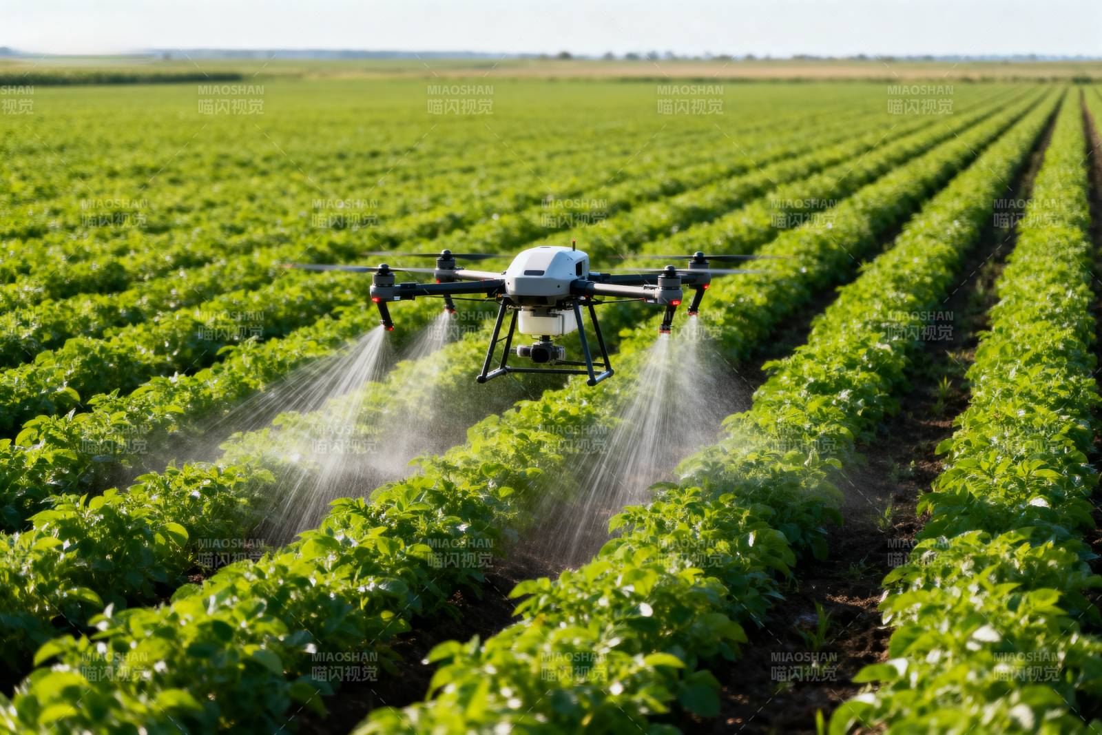 无人机喷洒农田图片