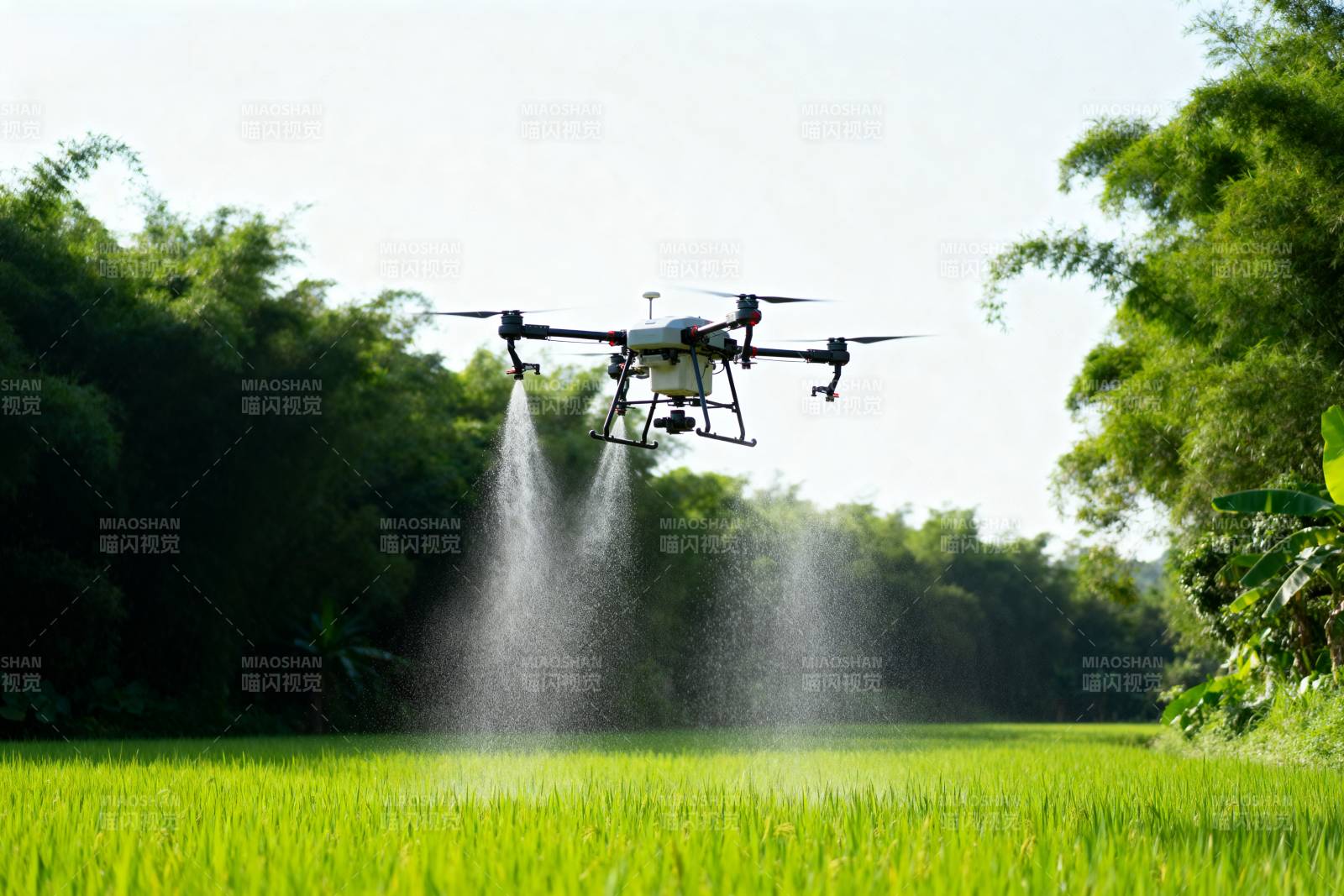 无人机喷洒农田图片
