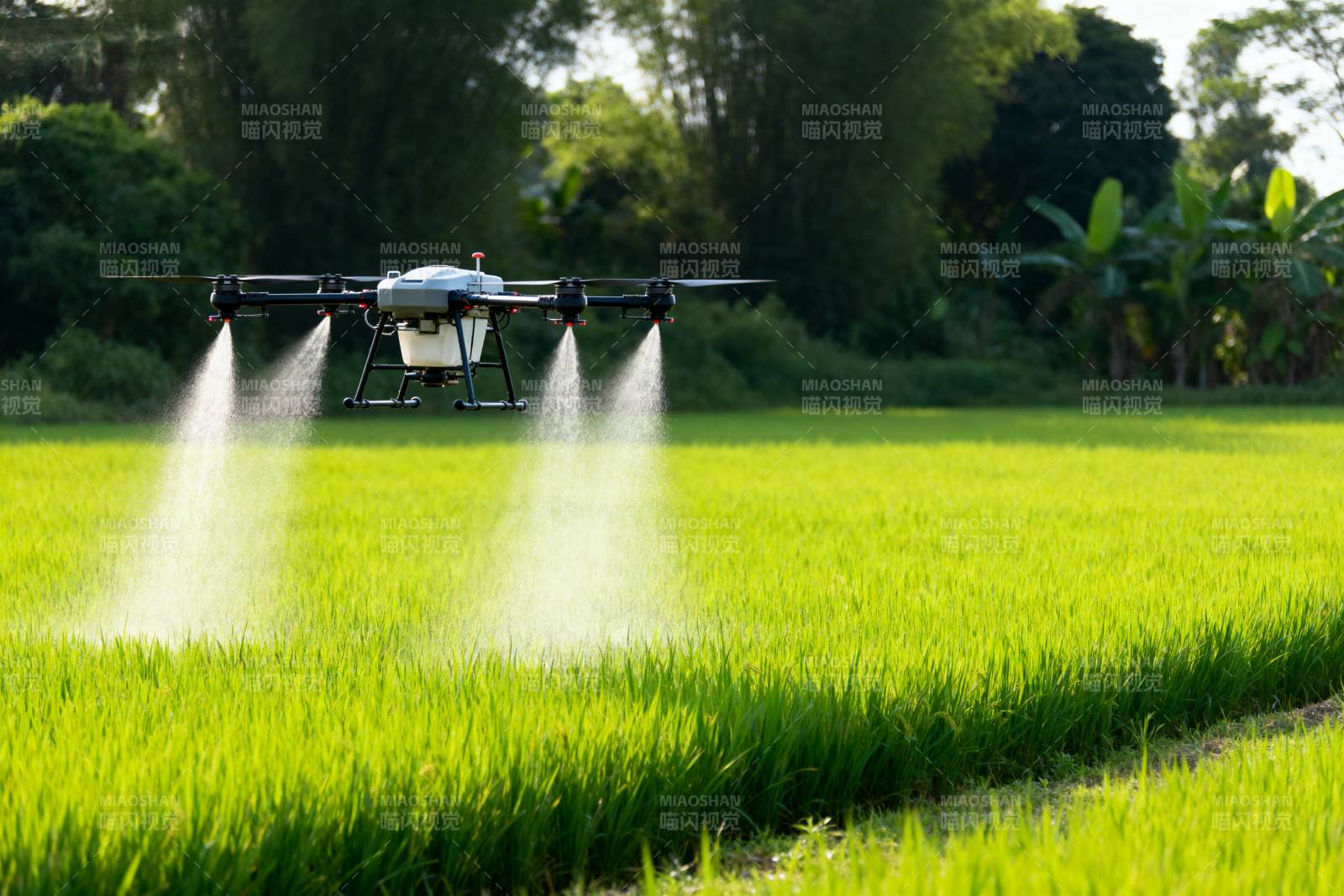 无人机喷洒农田图片