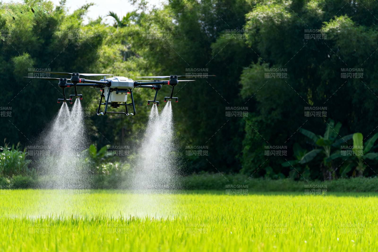 无人机喷洒农田图片