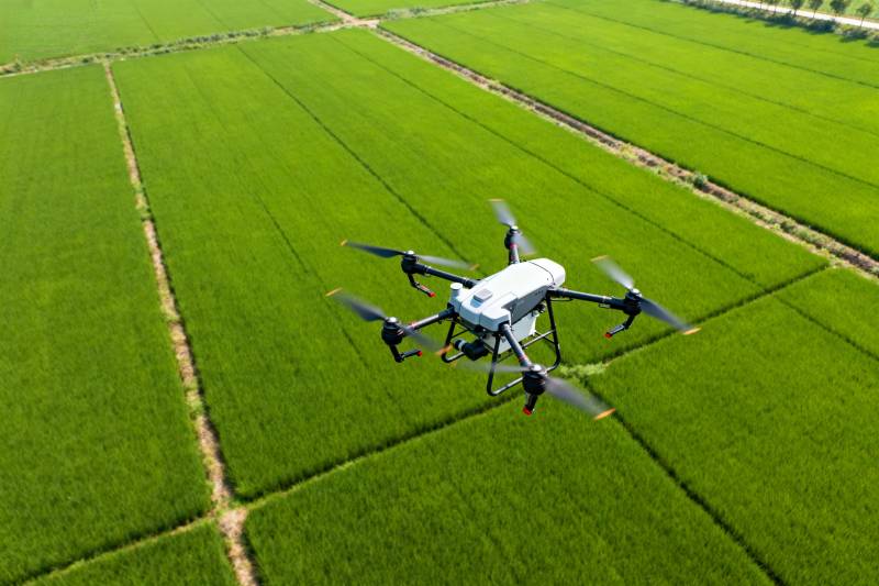 无人机巡田图片
