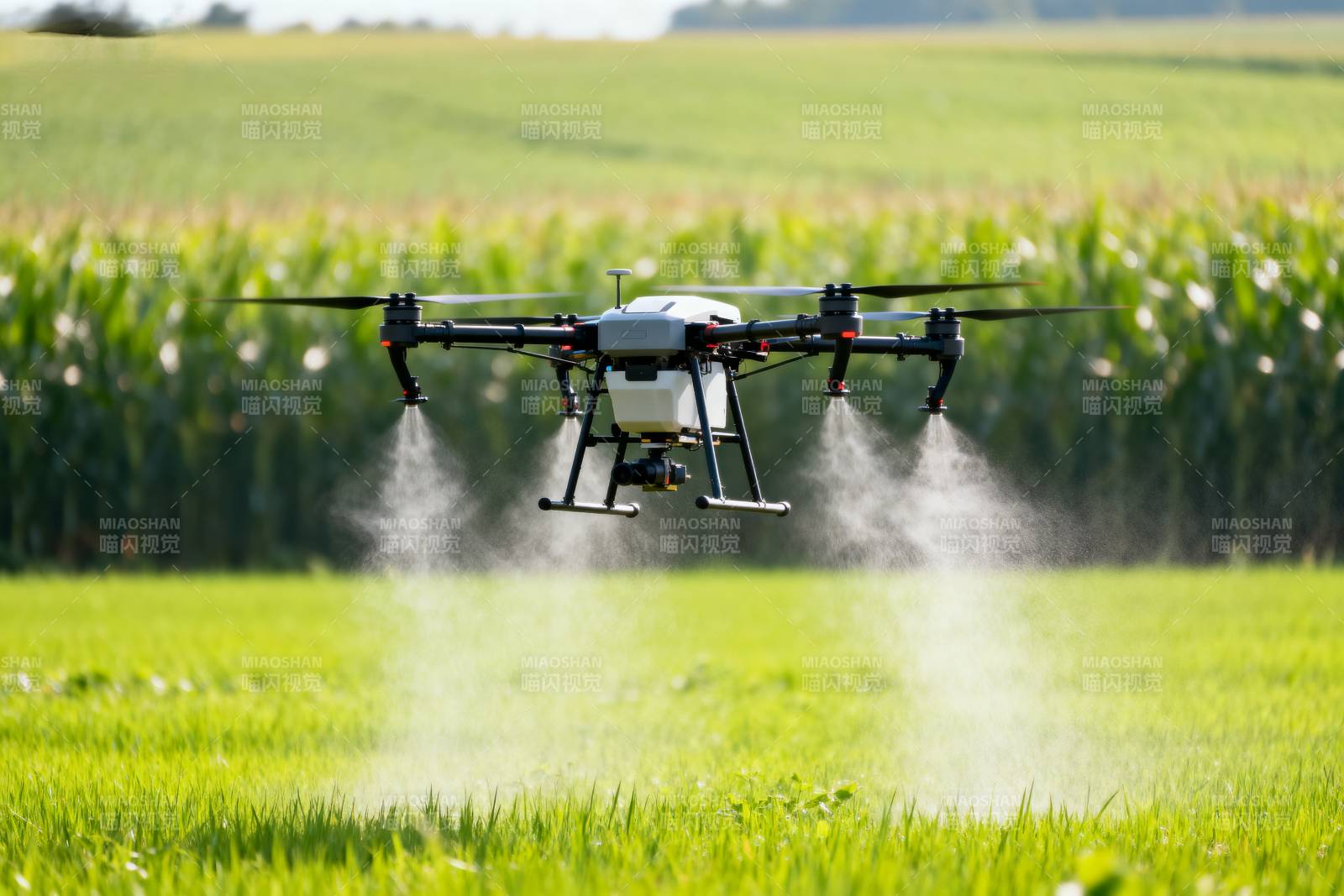 无人机农田喷洒图片