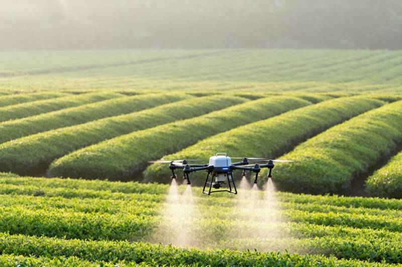 无人机茶园喷洒图片