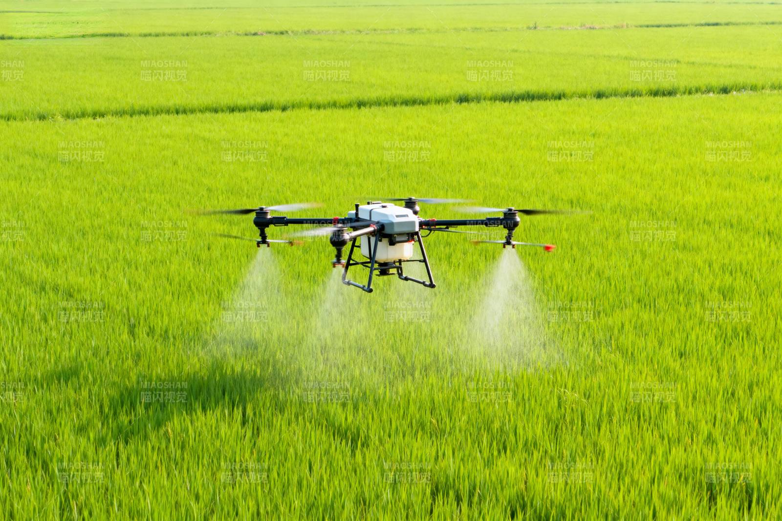 无人机喷洒农田图片