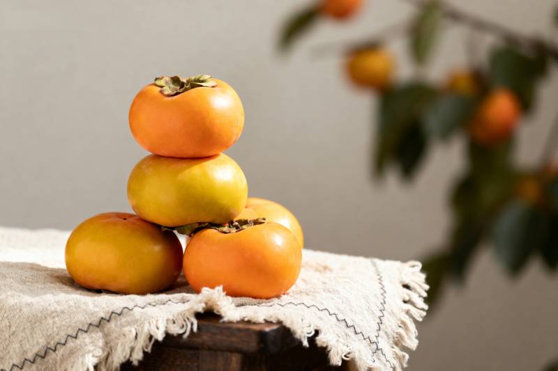 柿子堆叠静物图图片