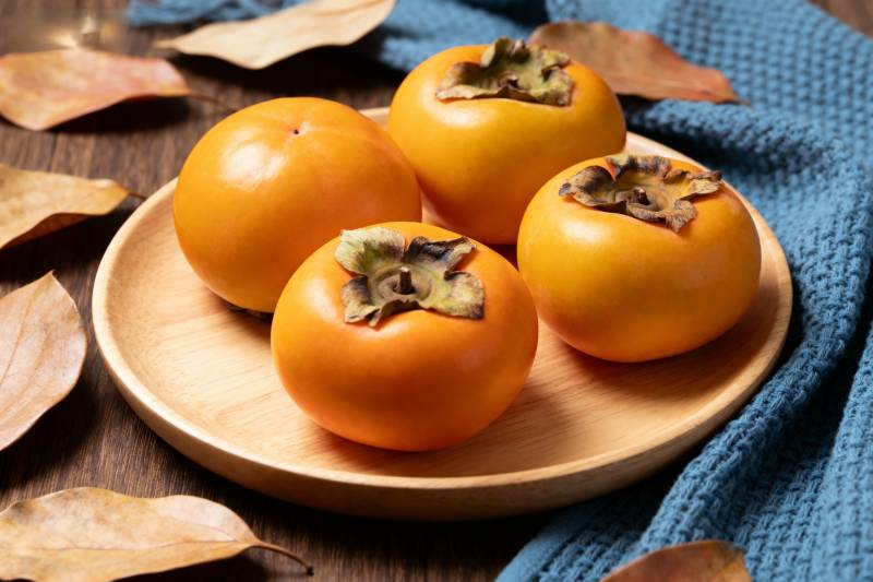 秋日柿子静物图图片