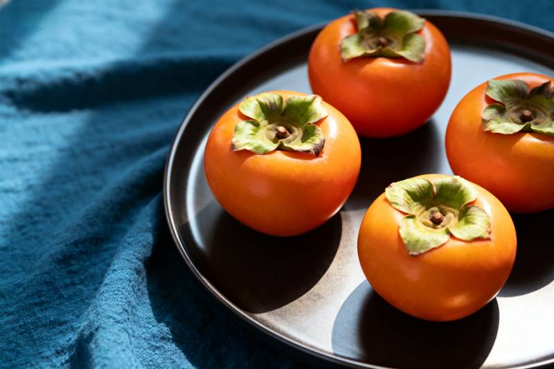 柿子静物图图片