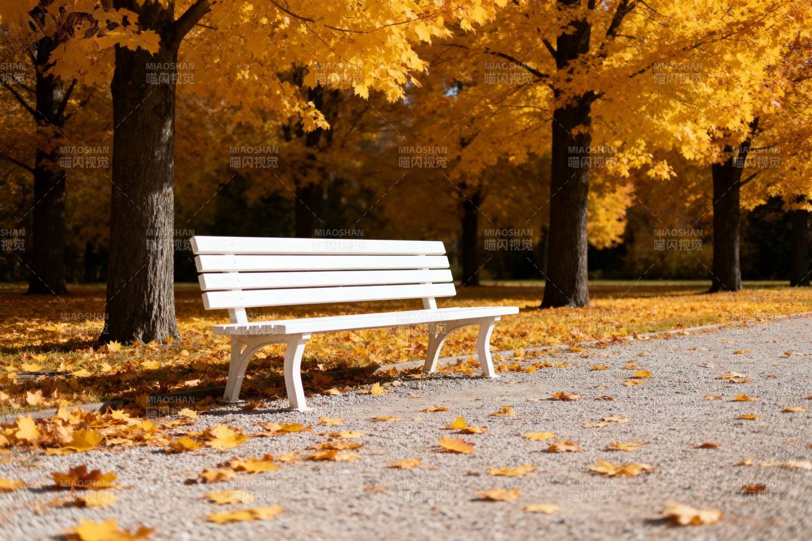 秋日公园长椅图片