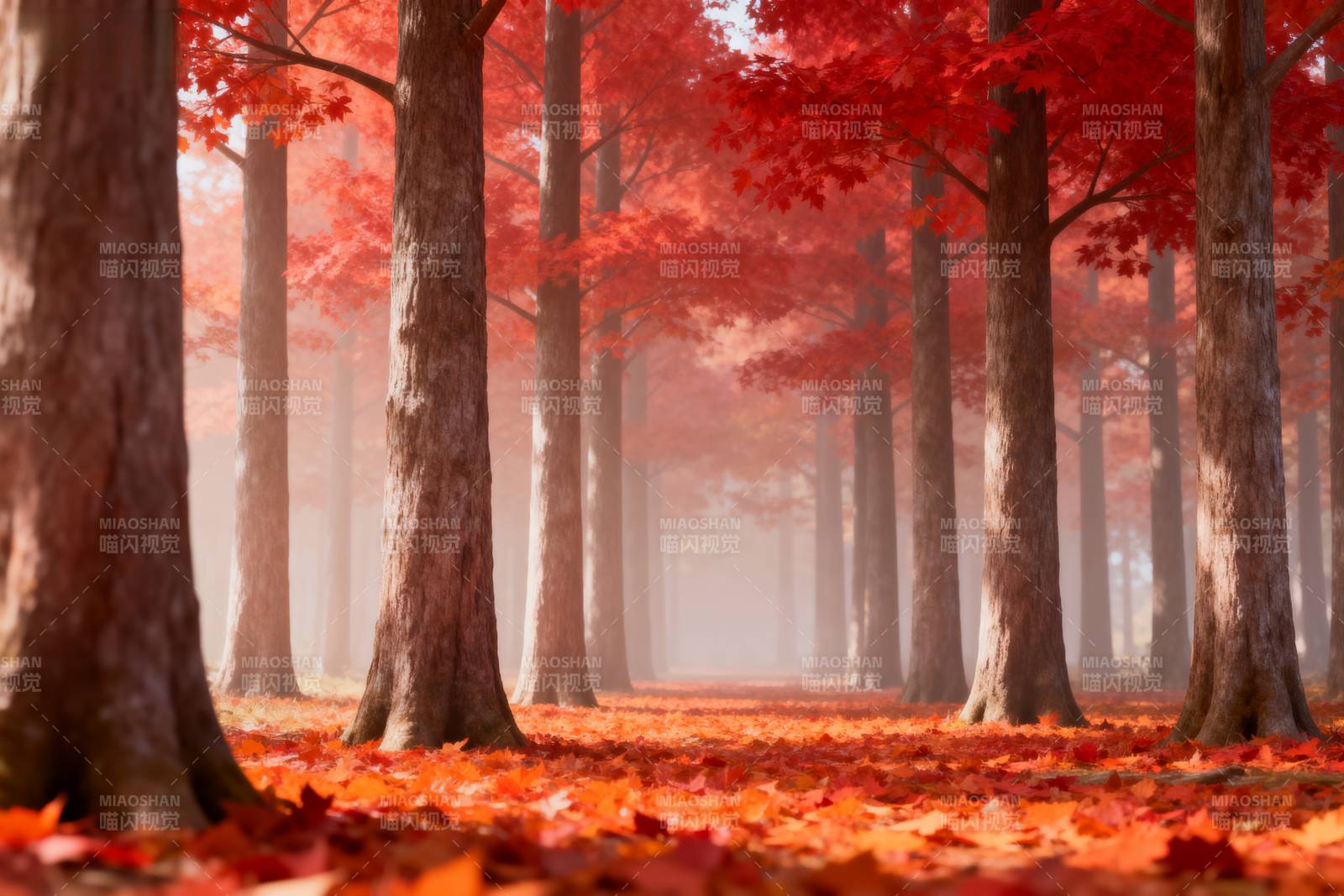 秋林红叶迷雾图片