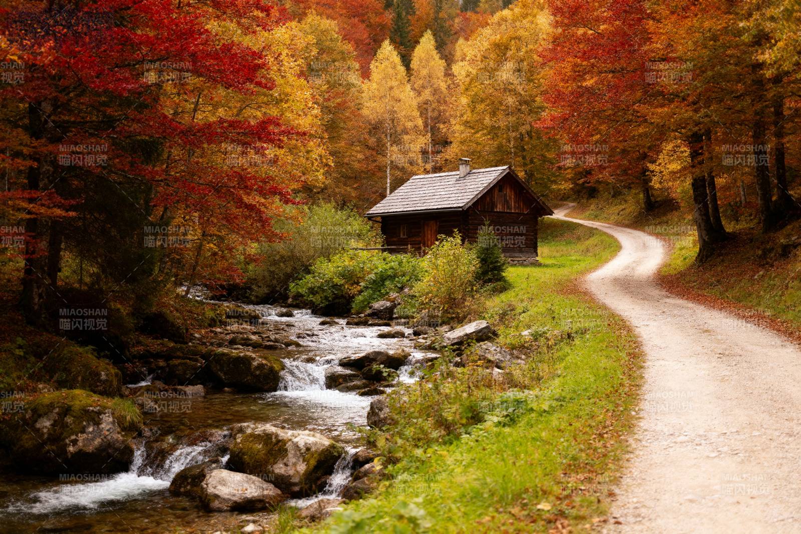 秋林小屋溪流景图片
