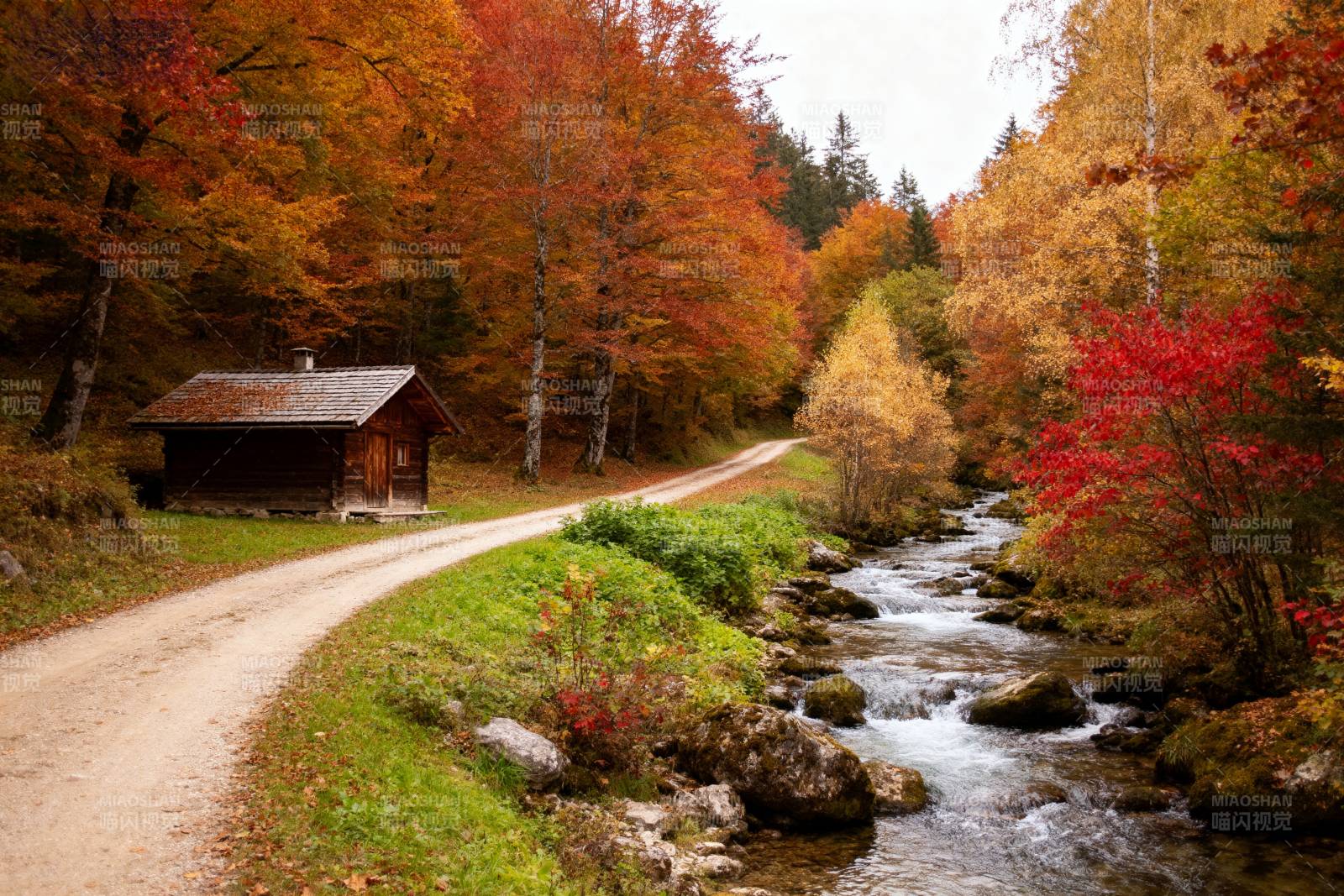秋林溪畔小屋图片