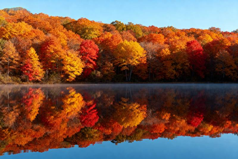 秋林倒影湖中图片