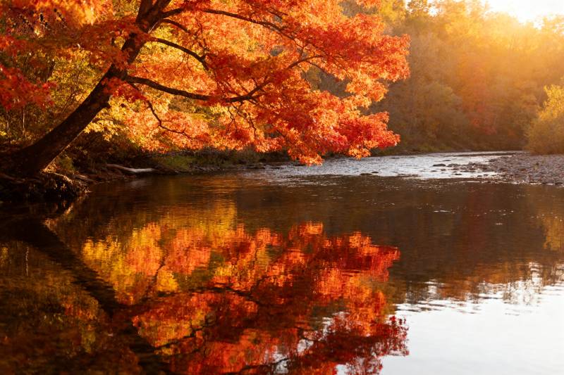 秋色映水图片