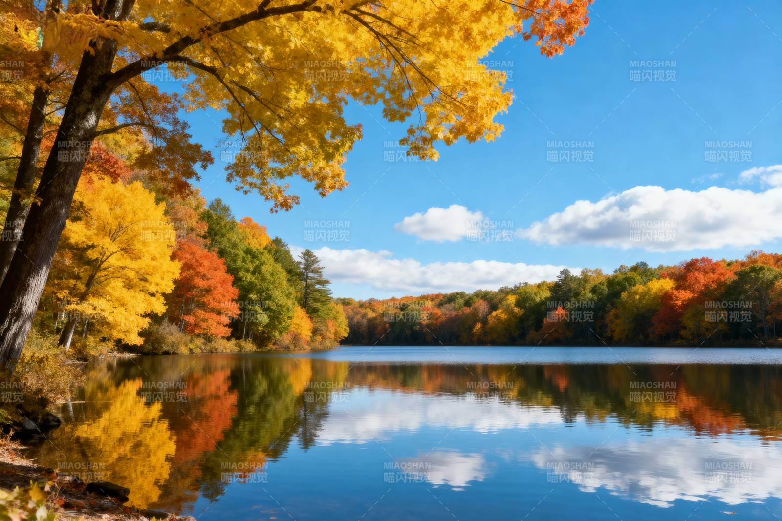 秋湖映彩林图片