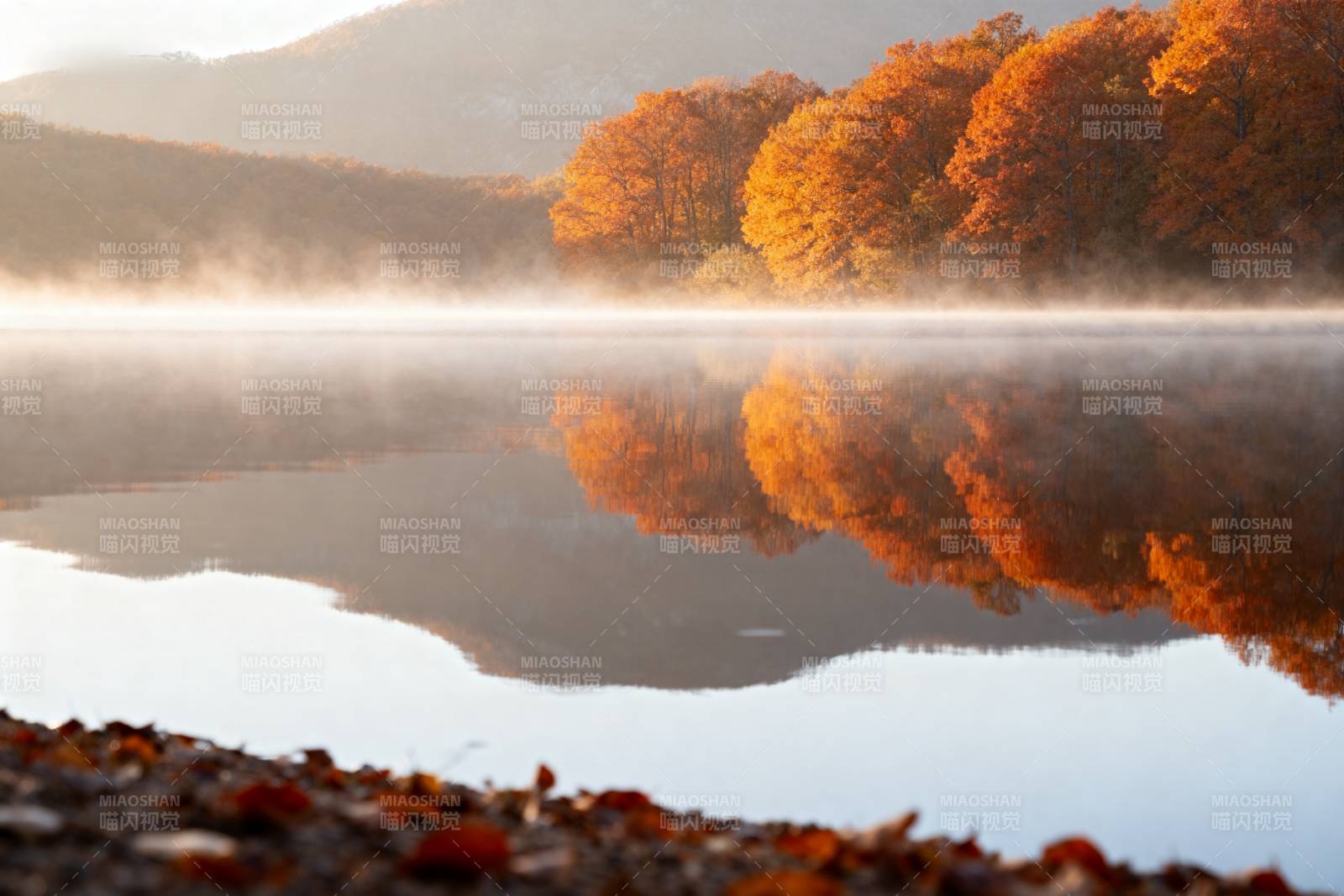 秋湖晨雾映彩林图片