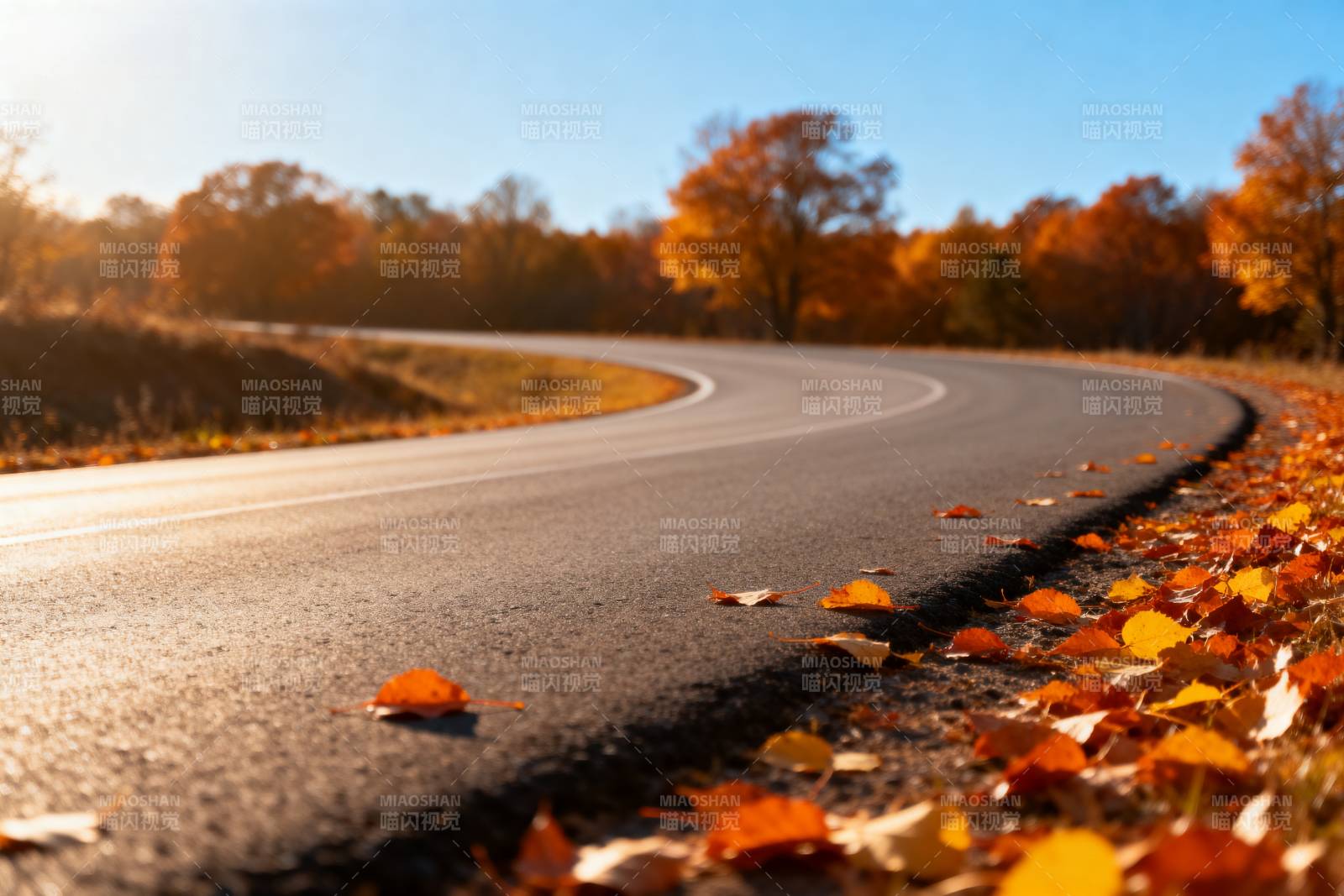 秋日公路落叶景图片