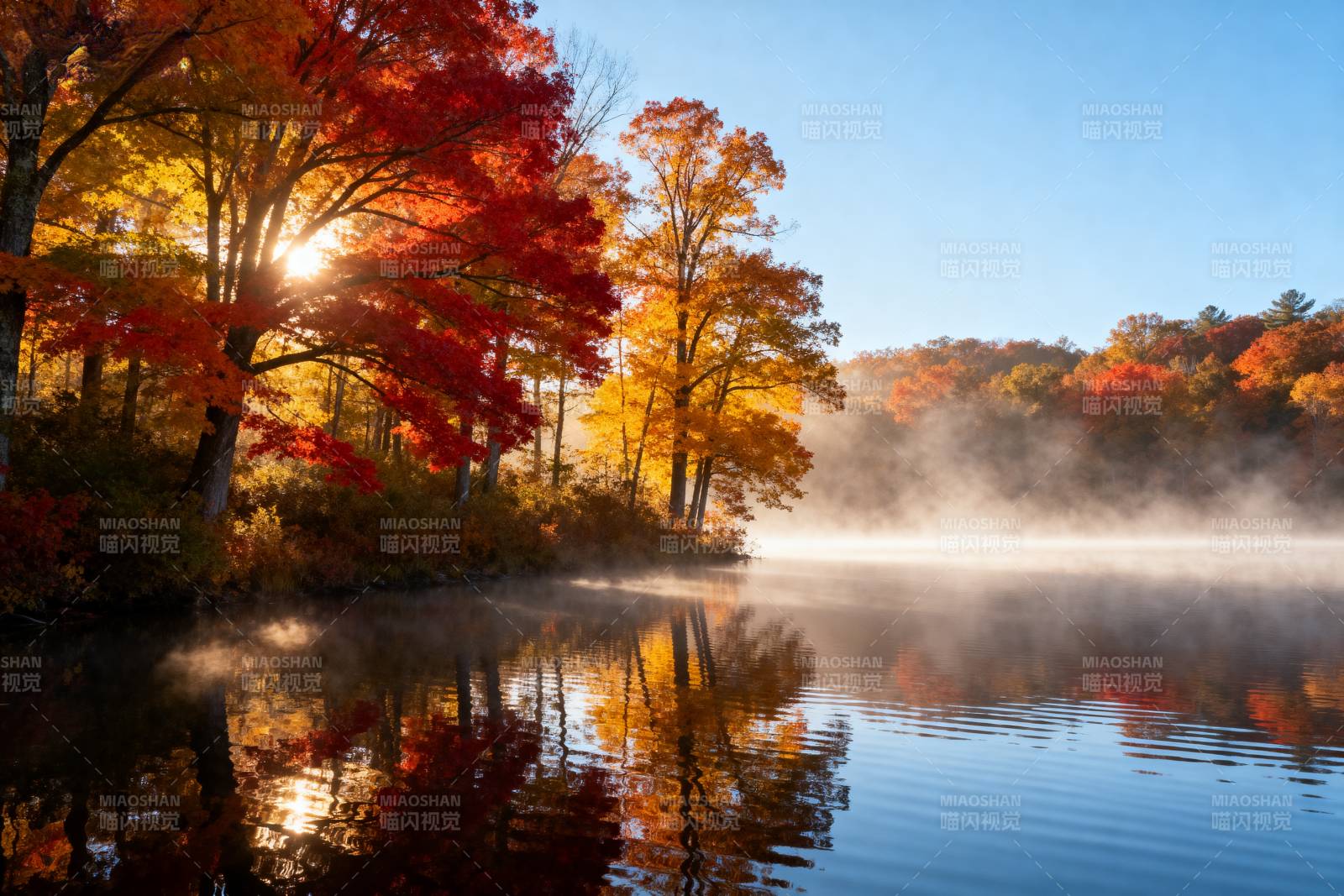 秋湖晨雾映彩林图片