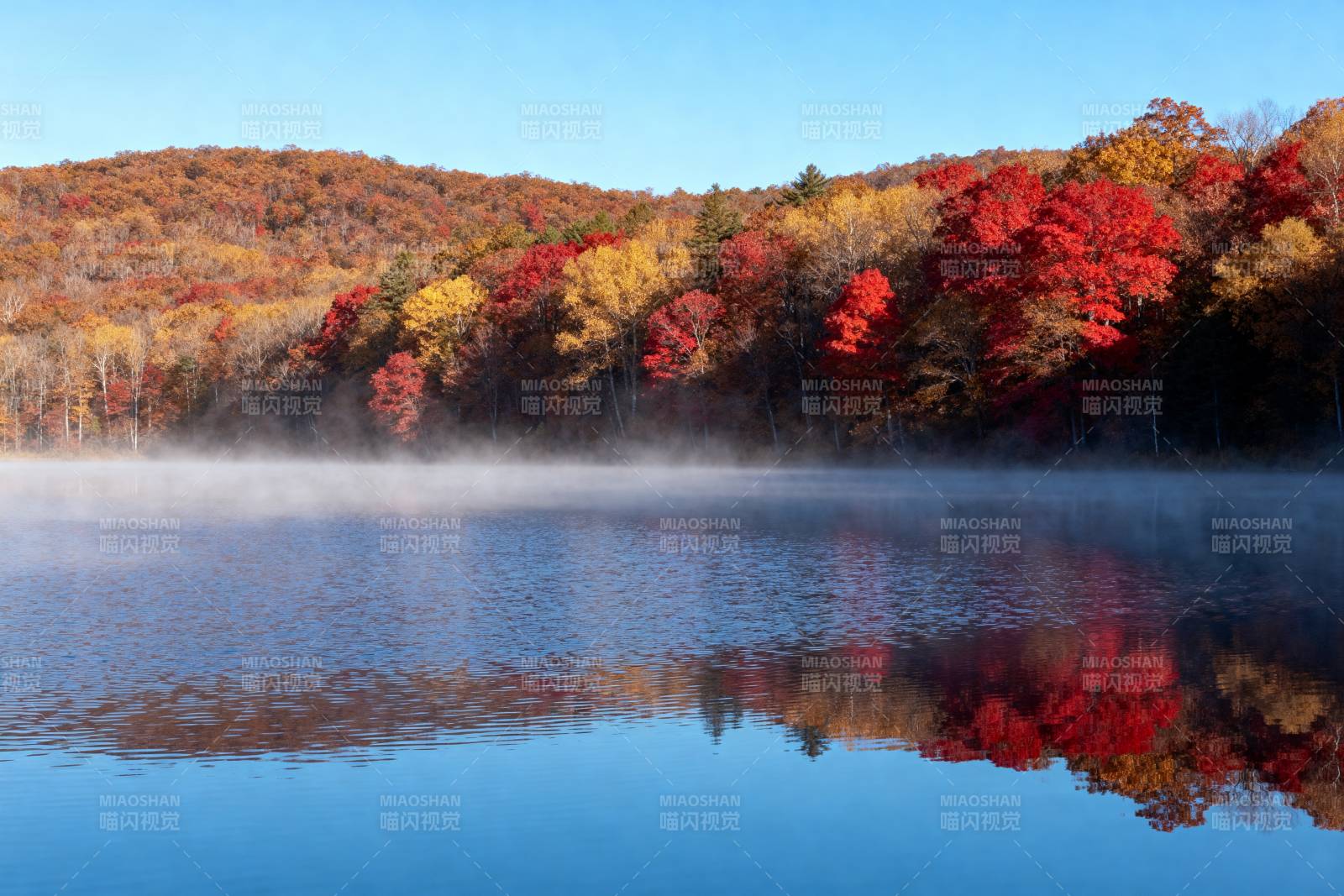 秋湖晨雾映彩林图片
