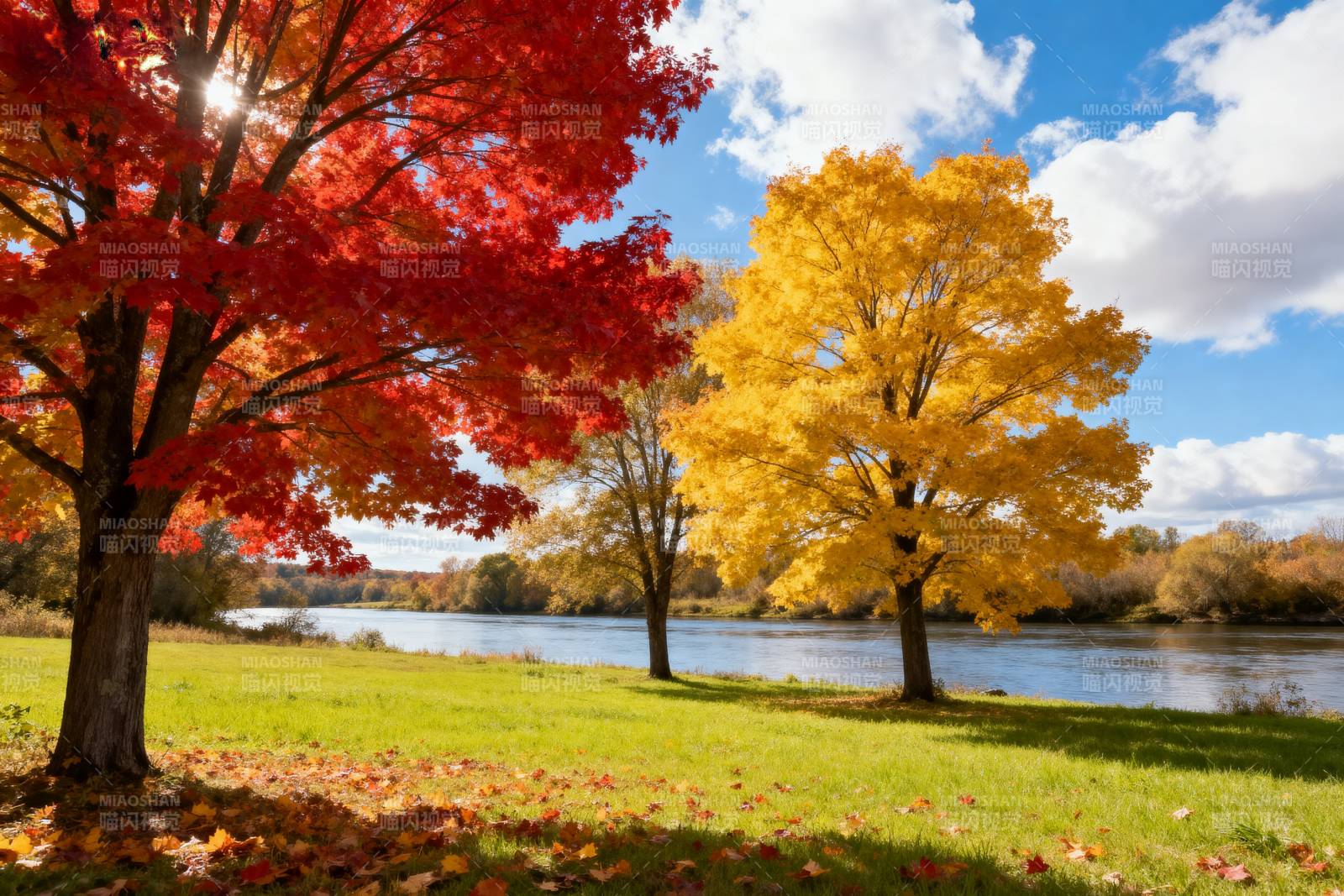 秋色湖畔美景图片