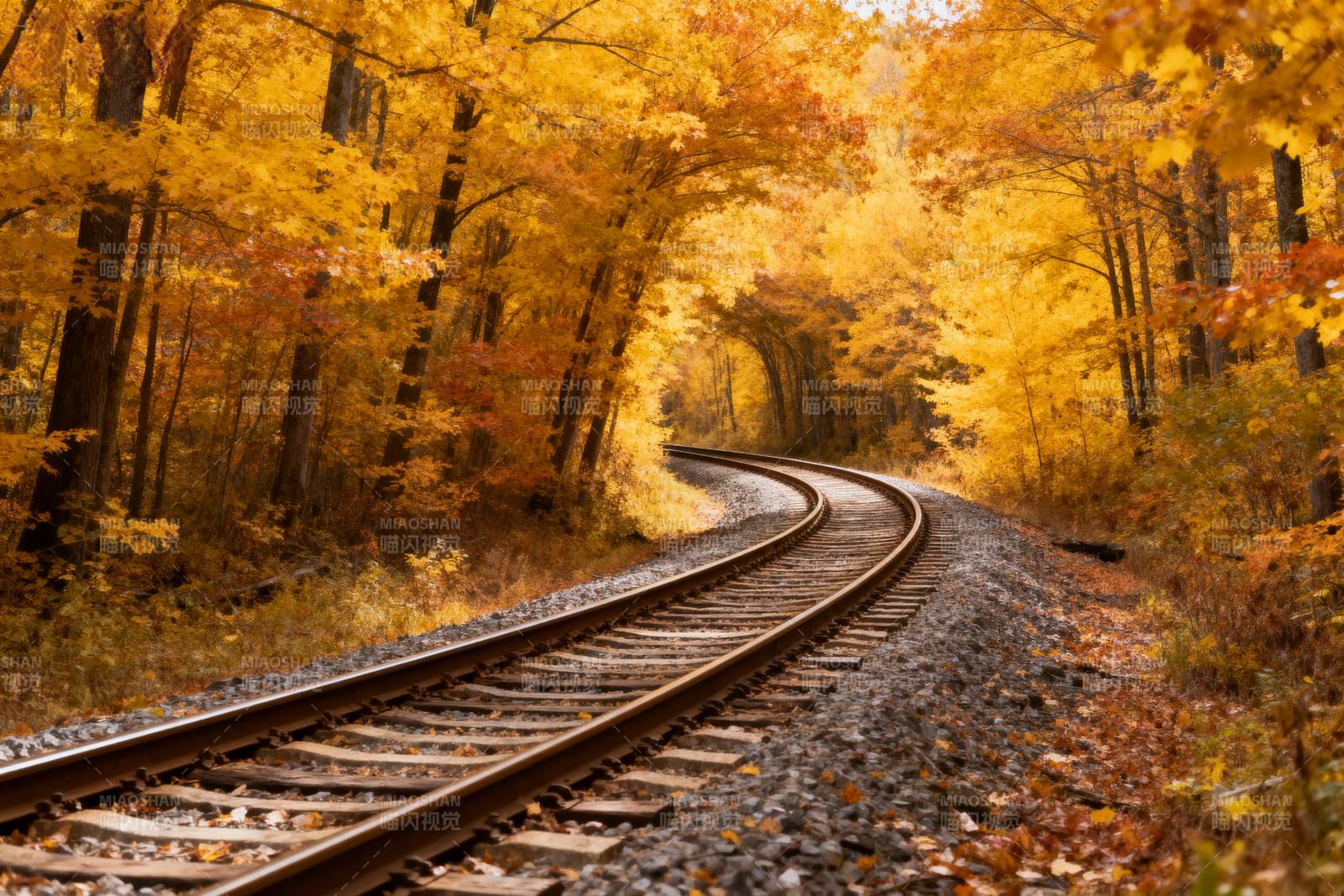 秋林铁轨图片