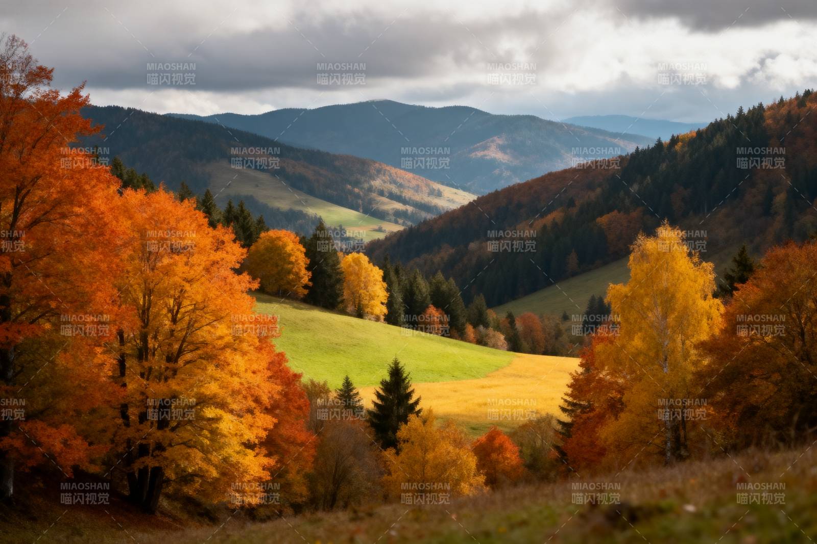 秋山彩林画卷图片