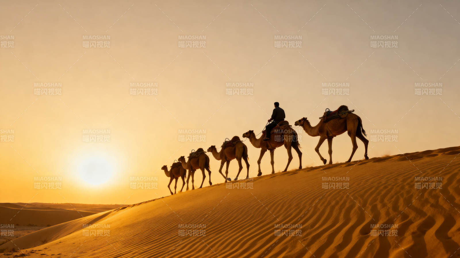 沙漠驼队日落行图片