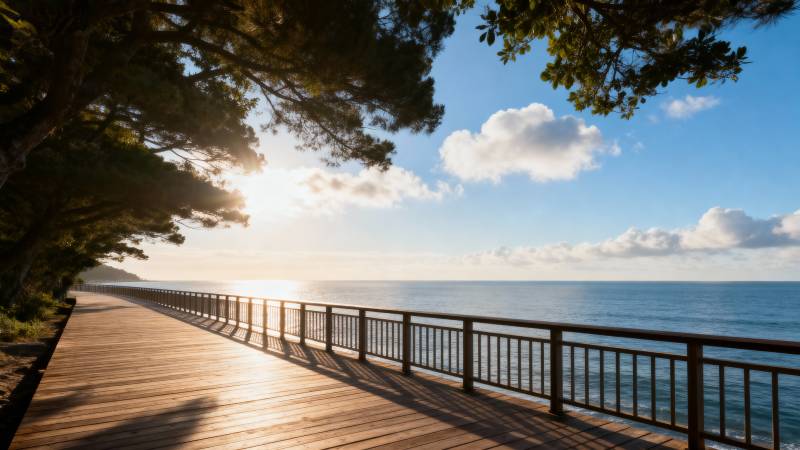 海边栈道晨光美景图片