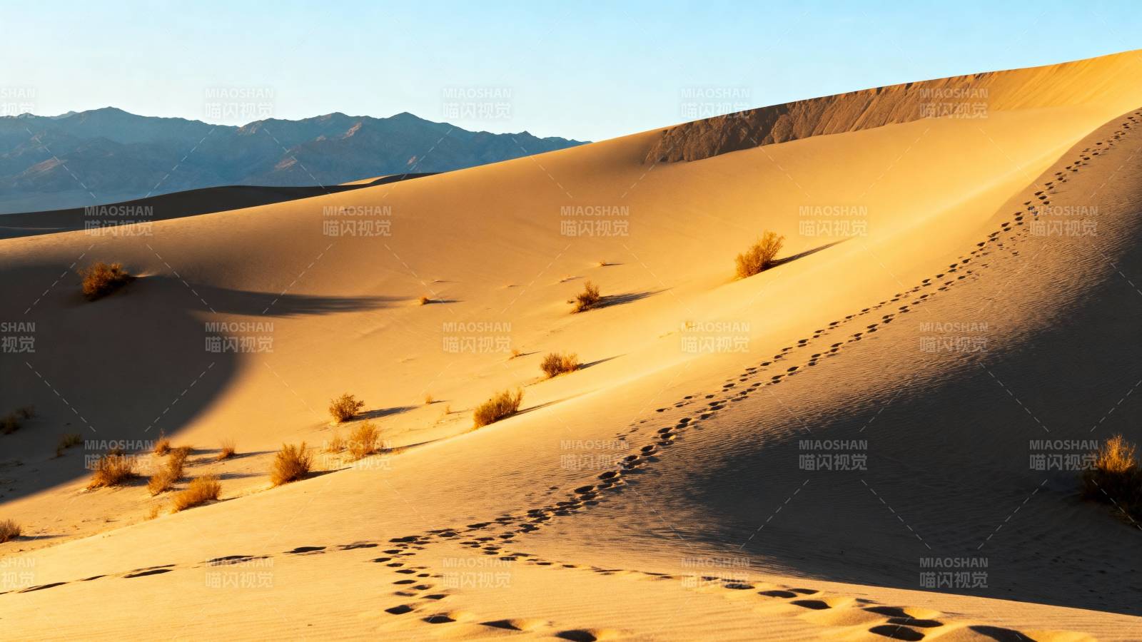 沙漠足迹图片