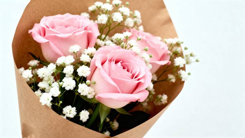 粉玫瑰与满天星图片