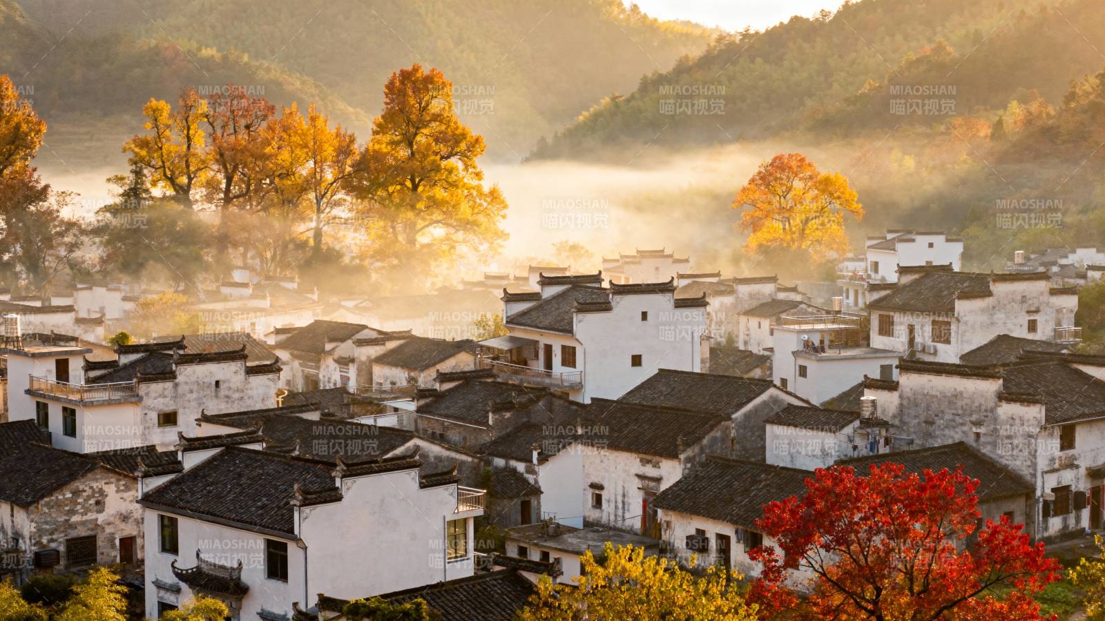 秋晨古村雾霭中图片