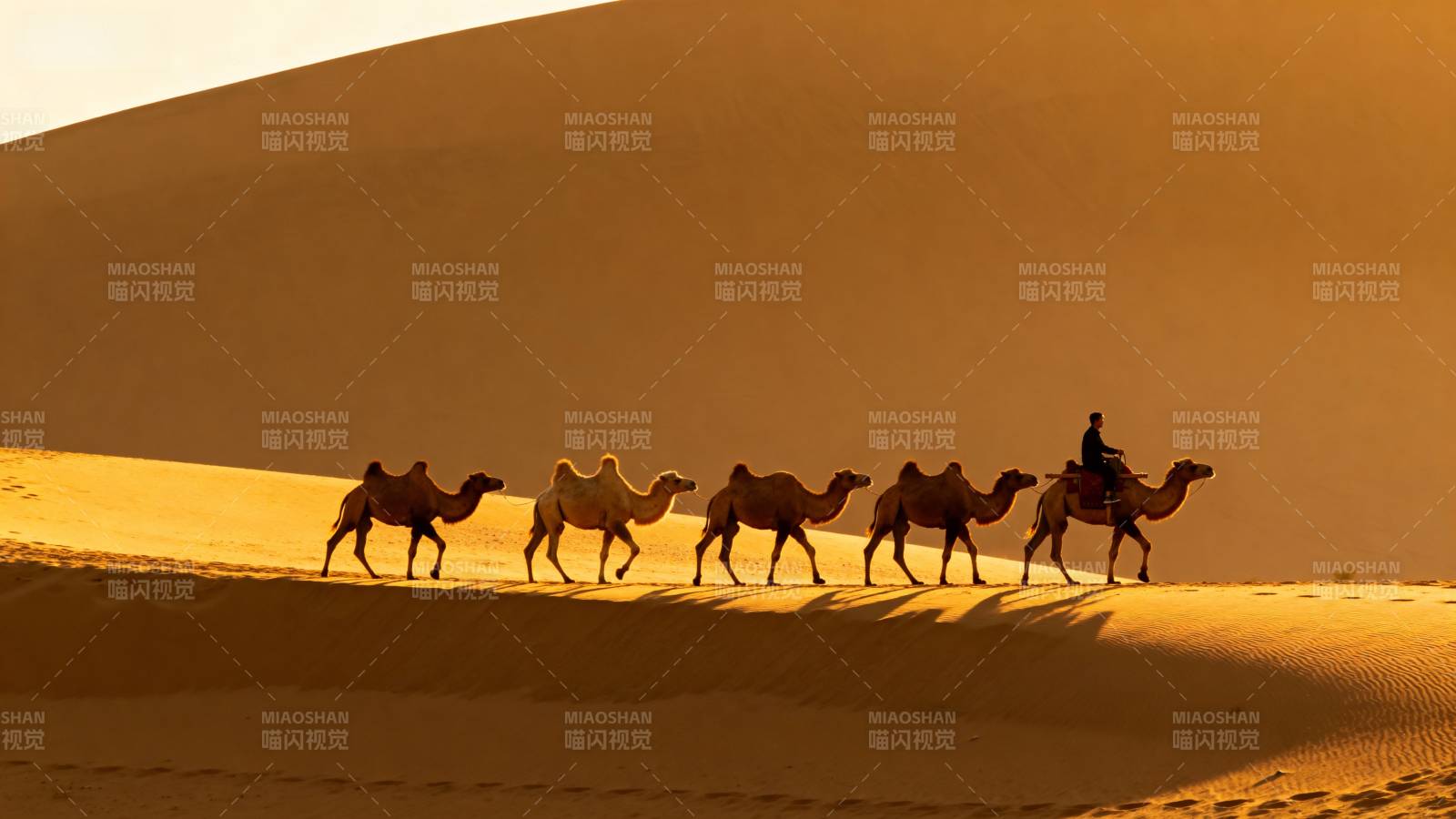 沙漠驼队剪影图片