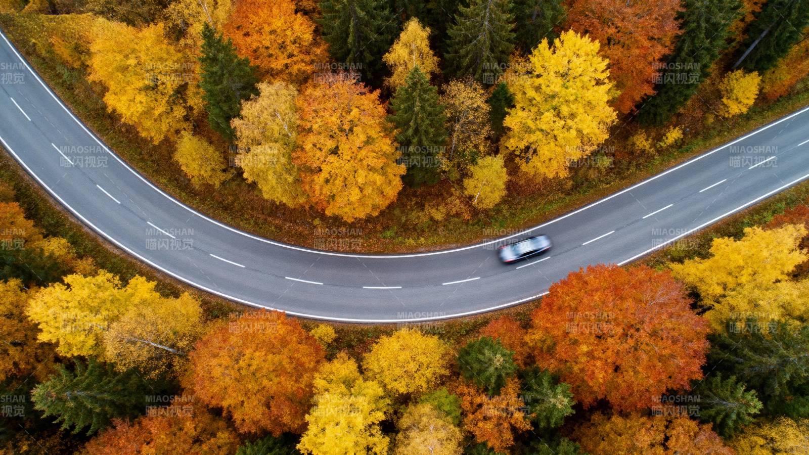 秋林曲道车行图片