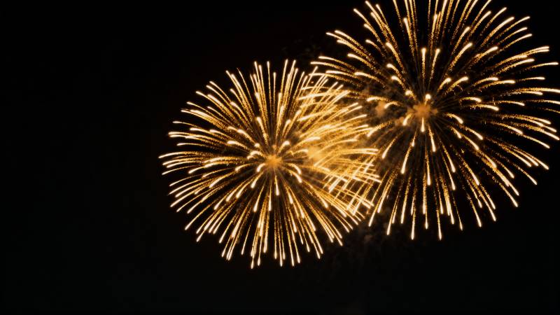 璀璨烟花夜空绽放图片