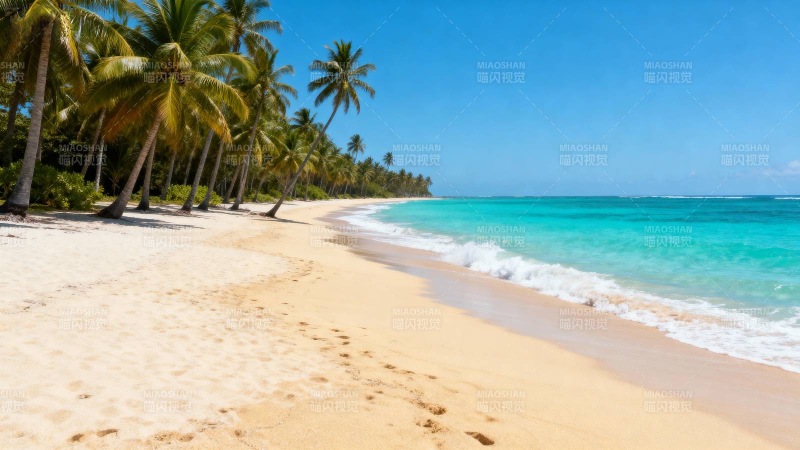 热带海滩风光图片