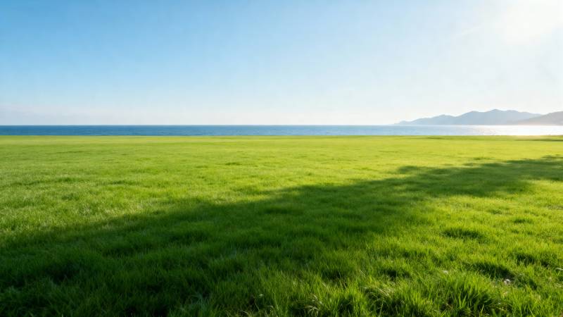 绿野蓝天海景图片