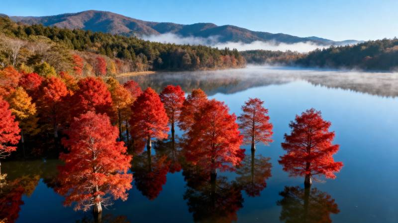 秋湖红叶倒影图片