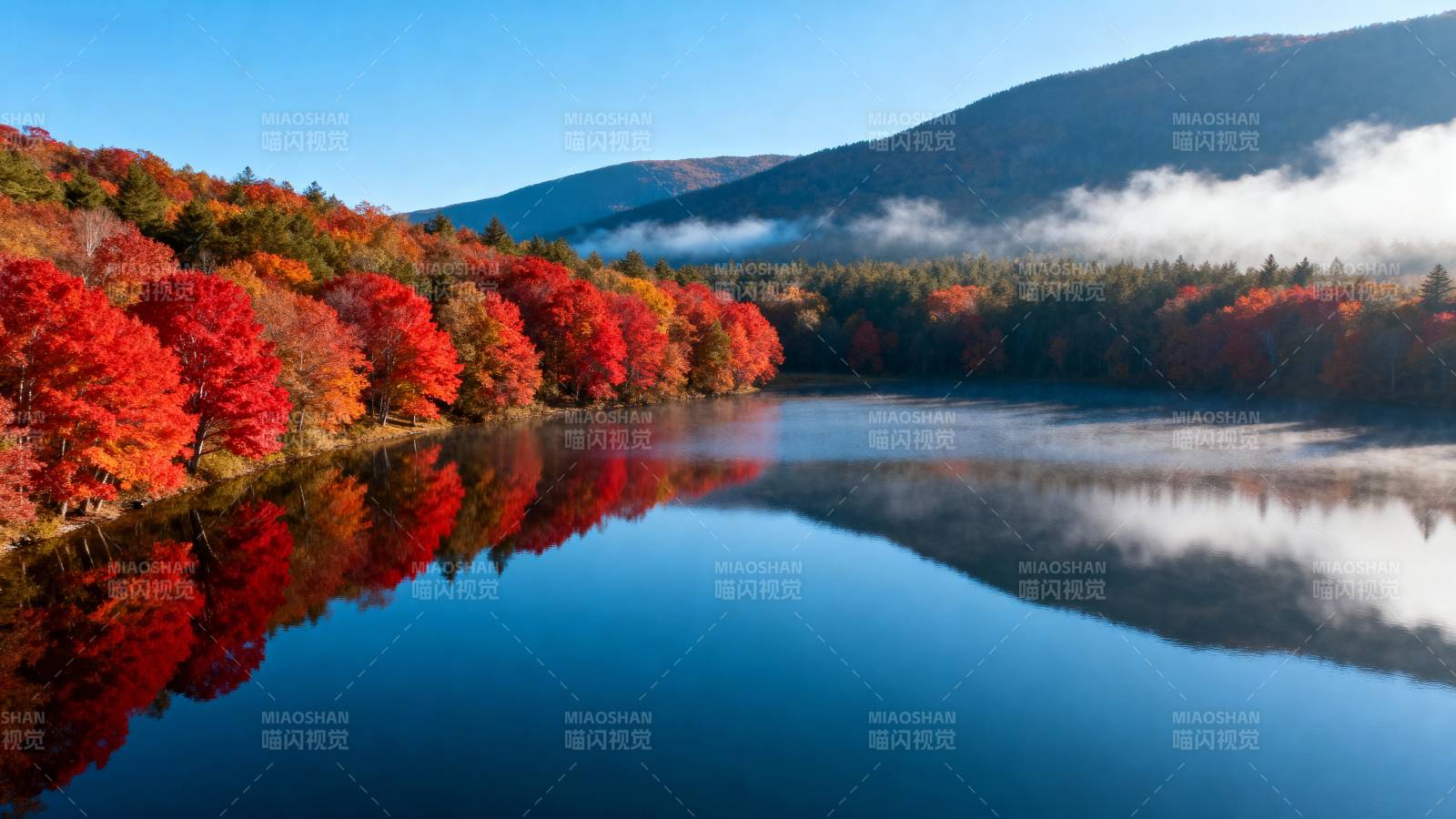 秋湖映彩林图片