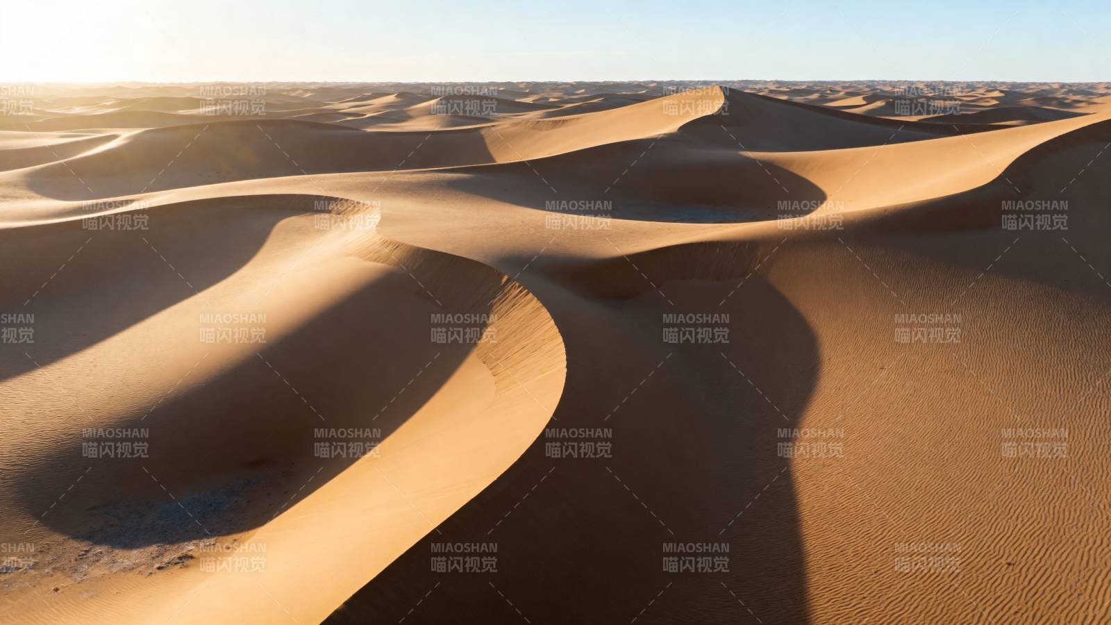 金色沙丘连绵起伏图片