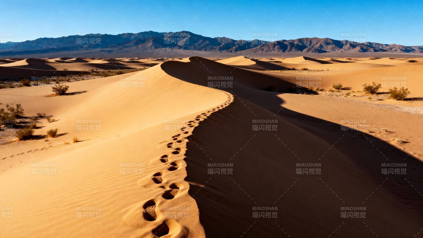沙漠足迹图片