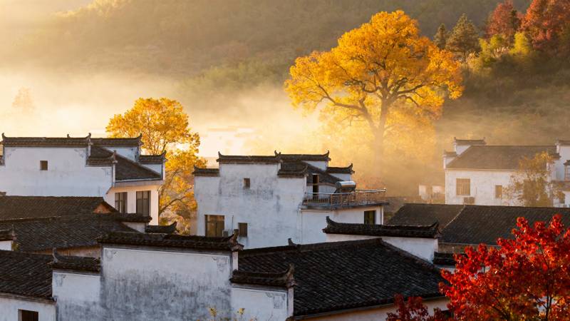 秋雾古村晨曦图片