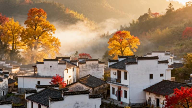 秋雾古村晨曦图片