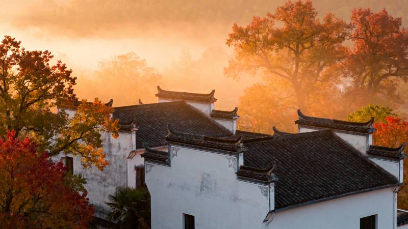 秋晨古村晨雾图片