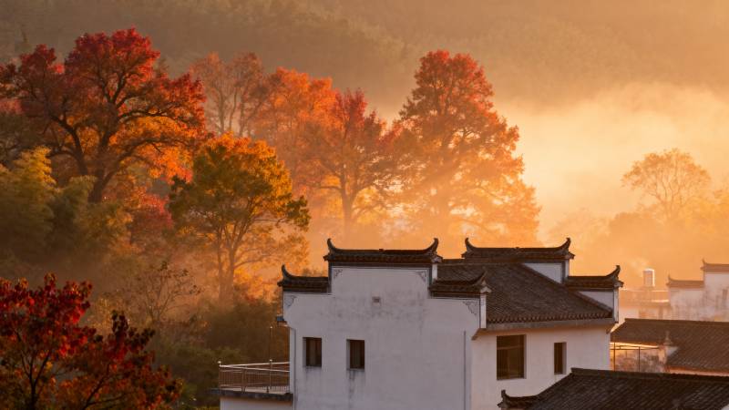 秋晨古村烟霞图片
